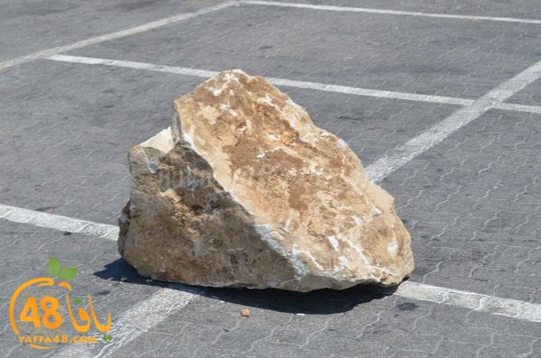 sooq balady ludi3 (3).JPG